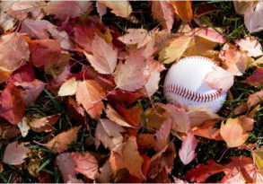 fallbaseball